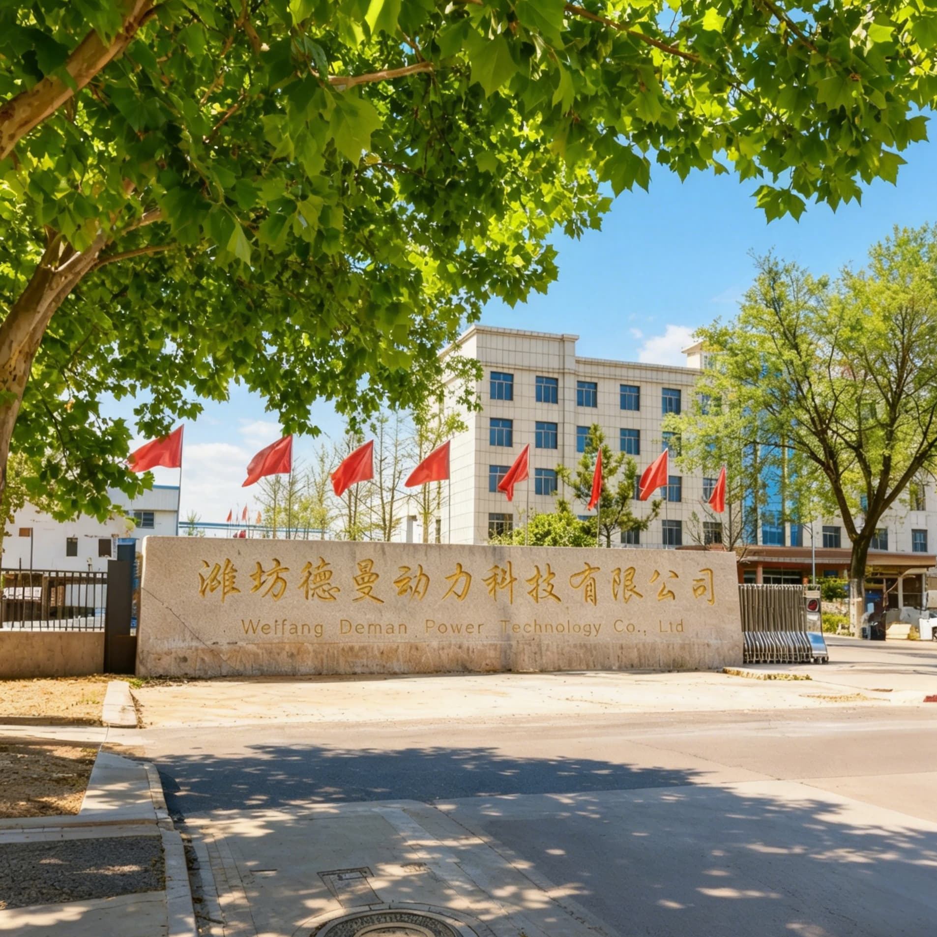 Weifang Deman Power Technology Co., Ltd. Weifang Deman Power Technology Co., Ltd.